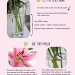How to Open Lillies