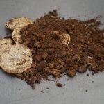 How to Fertilize Orchids With Coffee Grounds