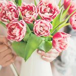 How to Care for Cut Tulips in Ice Water
