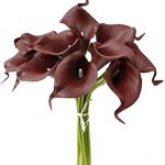 What Goes Best With Maroon Calla Lillies in the Garden