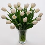 Where Can I Buy White Tulips