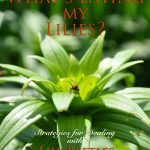 What Eats Lillies
