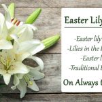 What Do Lillies Symbolize