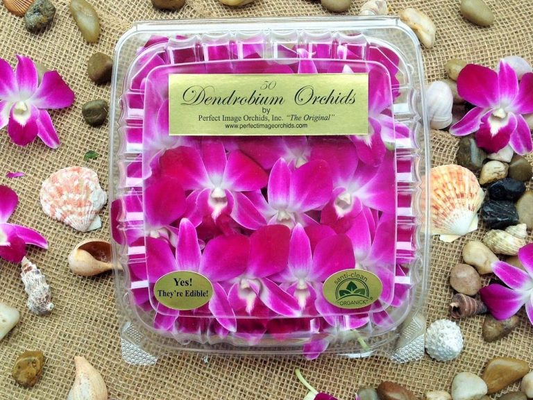 Are Dendrobium Orchids Edible