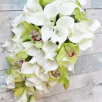 Are Green Orchids Natural