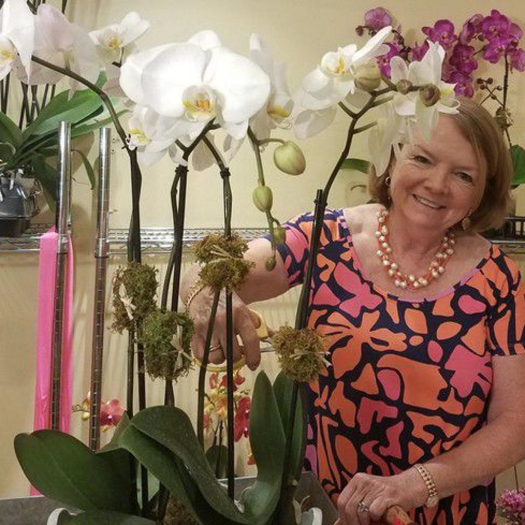 How To Pick Orchids