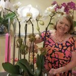How to Pick Orchids