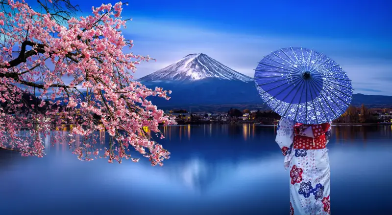 Why the Japan Cherry Blossom is a Must-See Once in a Lifetime
