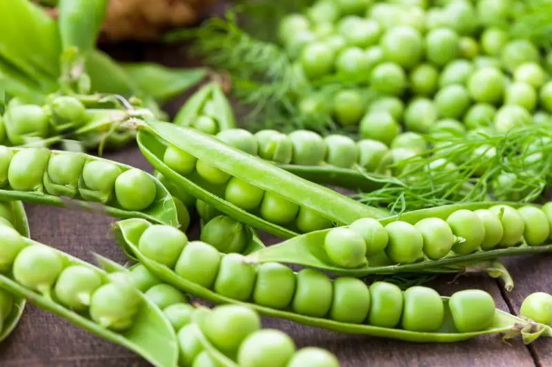 Are Sweet Peas Good for You? Discover 7 Surprising Benefits