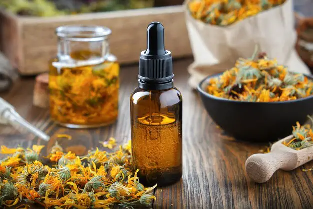 What Is Calendula Good For? Top Ways to Use This Versatile Herb