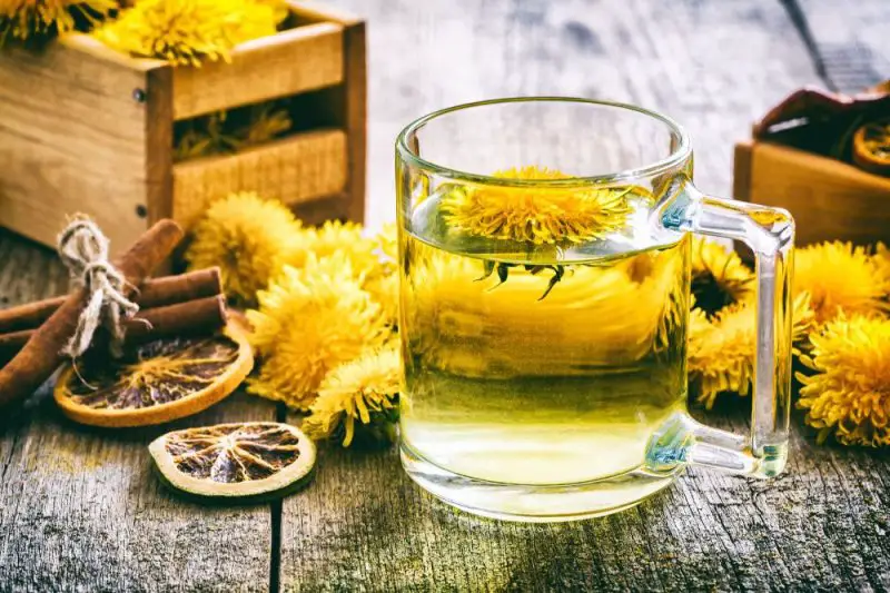 What Is Dandelion Good For? Top 7 Surprising Health Benefits