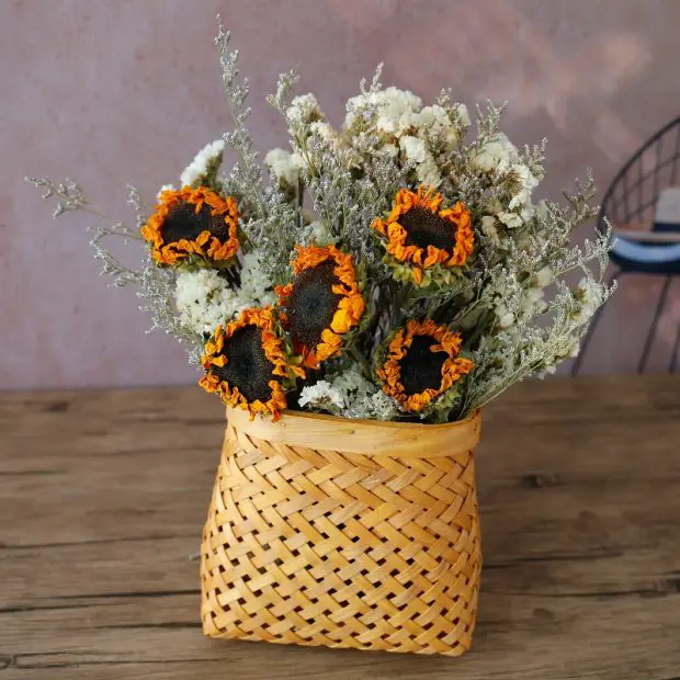 How to Dry Sunflowers: Expert Tips for Perfectly Preserved Flowers