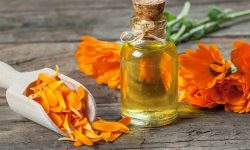 How to Make Calendula Oil for Maximum Potency and Benefits