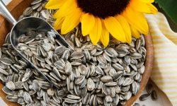 How to Roast Sunflower Seeds for Healthy and Delicious Treats
