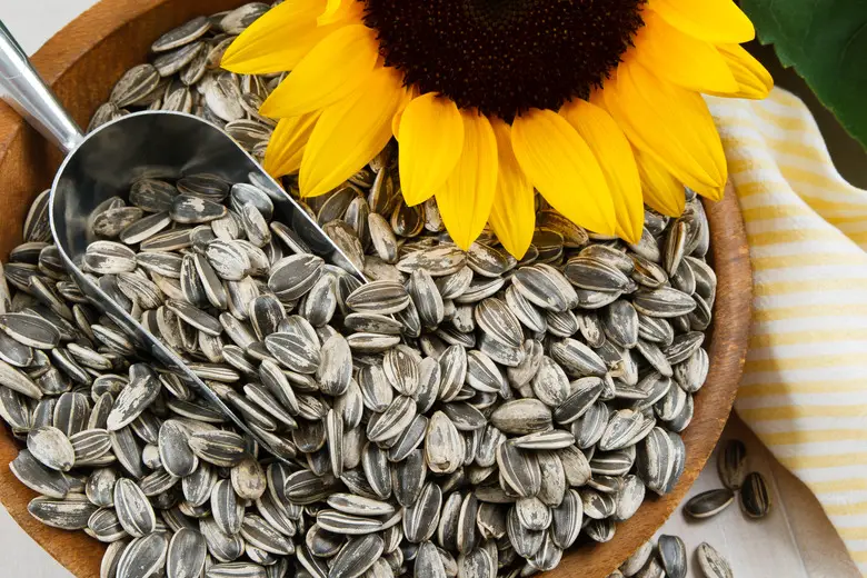 How to Roast Sunflower Seeds for Healthy and Delicious Treats