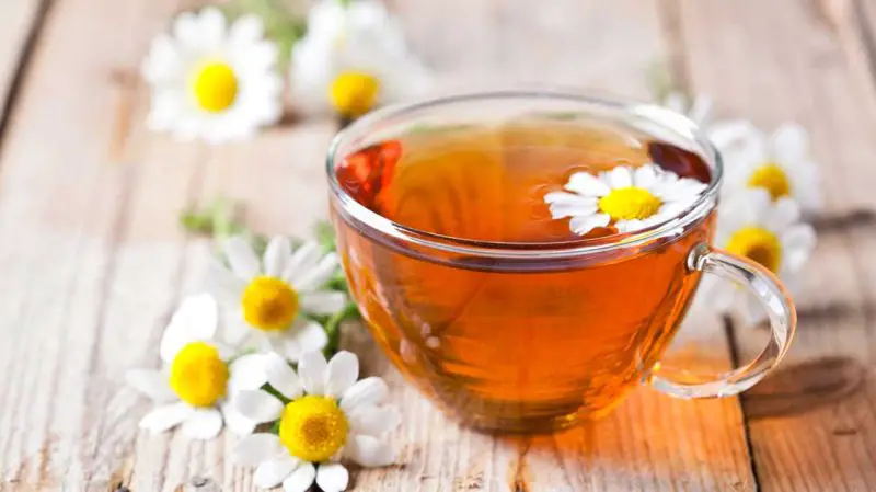 What Is Chamomile Good For? Health Benefits Backed by Science