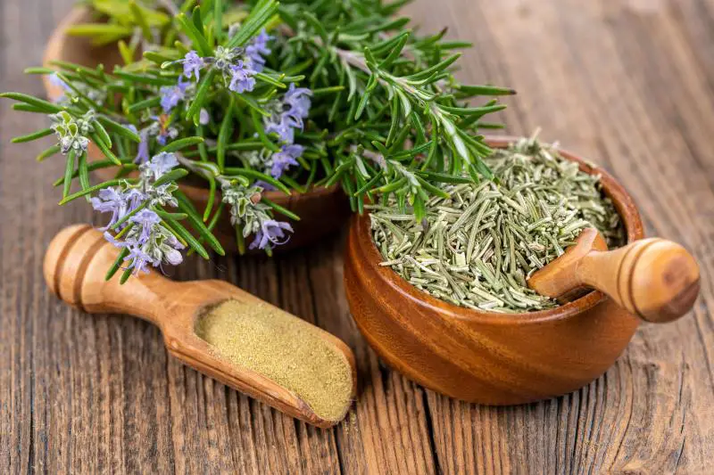 What Is Rosemary Good For? Surprising Uses Backed by Science