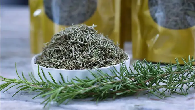 How to Store Rosemary: Simple Techniques for Long-Lasting Herbs