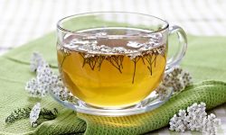 How to Make Yarrow Tea at Home: Simple Tips for Herbal Wellness