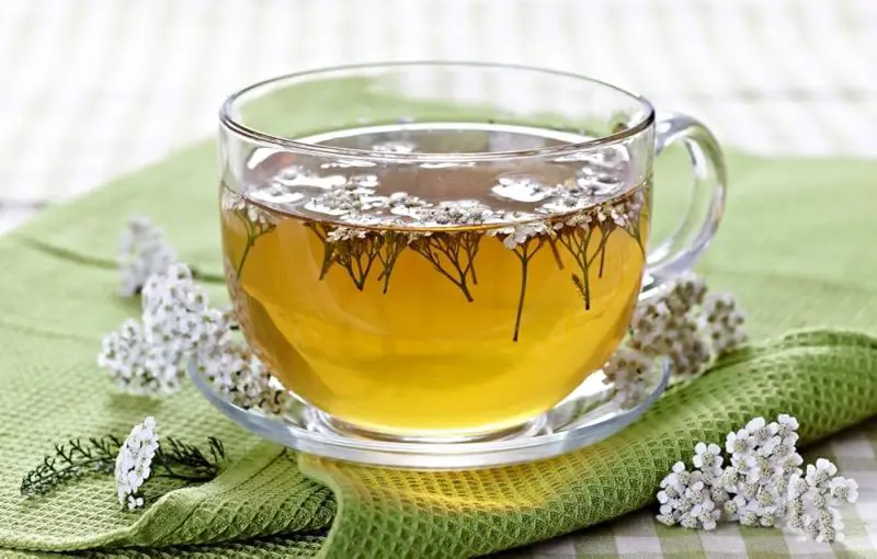 How to Make Yarrow Tea at Home: Simple Tips for Herbal Wellness