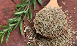 How to Dry Rosemary the Right Way for Cooking and Herbal Uses