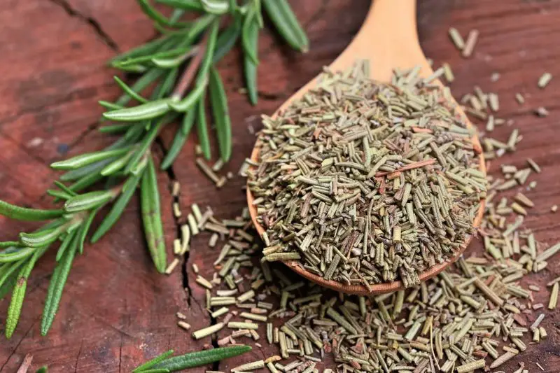 How to Dry Rosemary the Right Way for Cooking and Herbal Uses