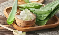 What Is Aloe Vera Good For and Why Do So Many People Use It?