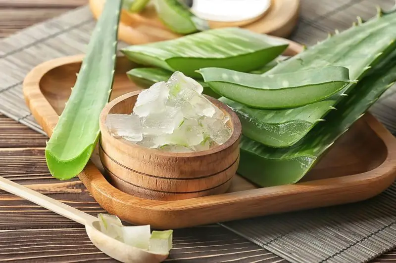 What Is Aloe Vera Good For and Why Do So Many People Use It?