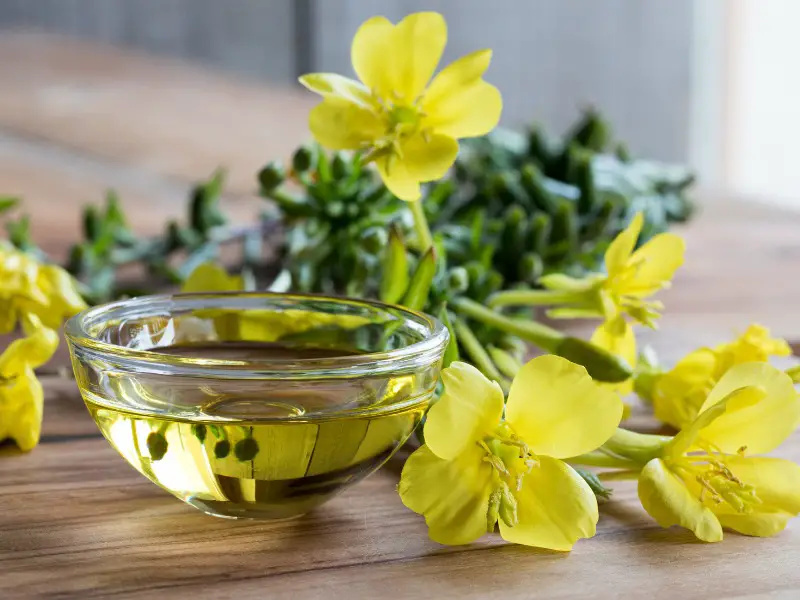What Is Evening Primrose Oil Good For? 10 Impressive Benefits